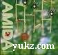 Amida �����}�C